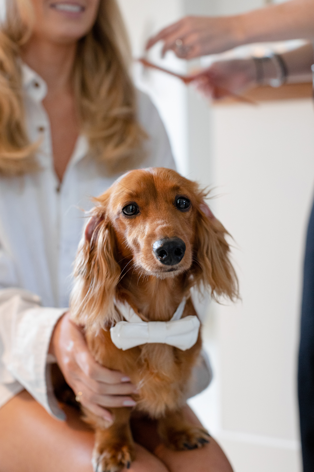 Plan a Wedding in Wallkill, NY